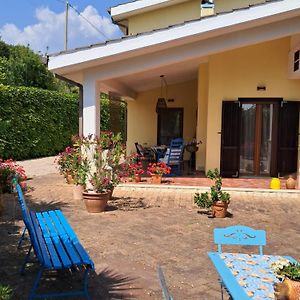 Casa Mimosa Holiday Room